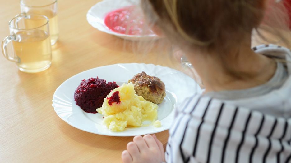 Salmonella w cateringu dla żłobków