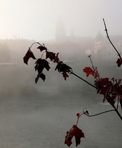 Prognoza pogody na dziś - 15 listopada. Kolejny dzień z niskimi temperaturami. Idzie zima