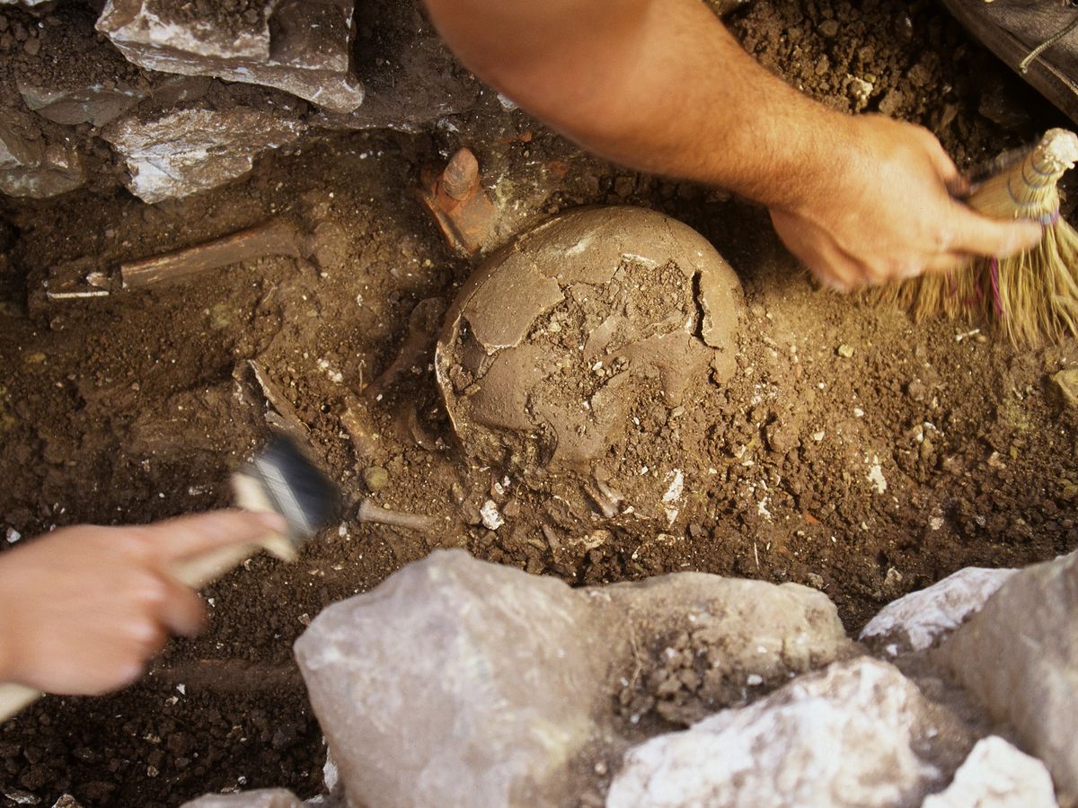 Gorzów Wielkopolski: archeolodzy odkopali kolejny pochówek przy katedrze