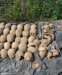 Budowali drogę, trafili na dawny cmentarz. Znaleziono szczątki tysięcy osób