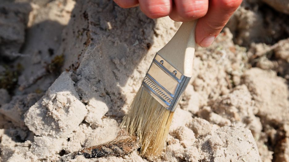 Archeologowie odkryli ślady pełnego osiedla z zabudowaniami i drogami