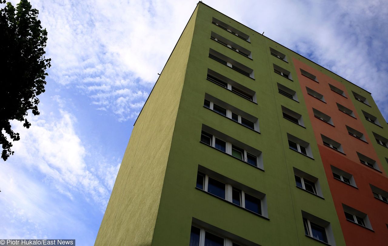 Pedofil zaatakował 8-letnią dziewczynkę w Zielonej Górze. Policja prowadzi obławę 