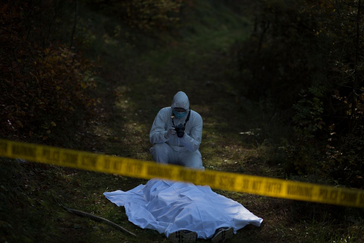 Znaleźli zwłoki w lesie. Policja podejrzewa ich o zabójstwo