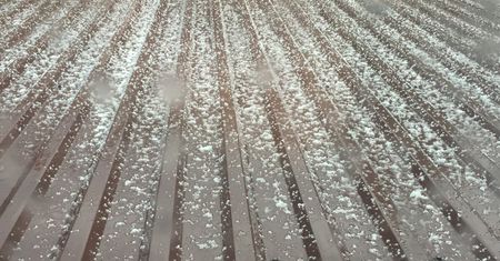 Pierwszy śnieg w 2019 roku. Wołomin jako pierwszy powitał zimę