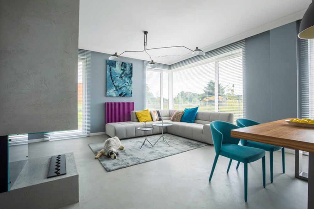 Trendy, gray, open space interior - a living and dining room with a beige corner sofa, modern fireplace and a big dog lying on a rug (Trendy, gray, open space interior - a living and dining room with a beige corner sofa, modern fireplace and a big dog 