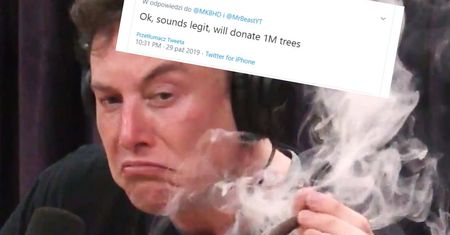 Elon Musk "posadzi" milion drzew w ramach walki z globalnym ociepleniem