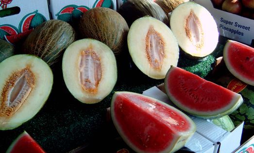 Hindusi aplikują ogórkom i melonom hormon