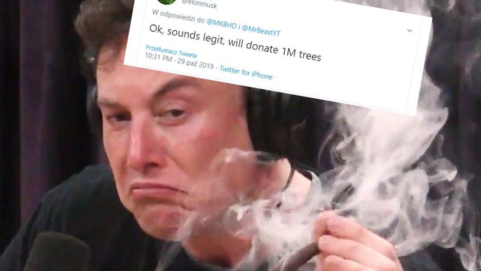Elon - Treelon. Przekazał milion dolarów na drzewa.