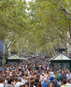 Najnowsze ustalenia po ataku w Barcelonie. Zamachowcy chcieli użyć noży