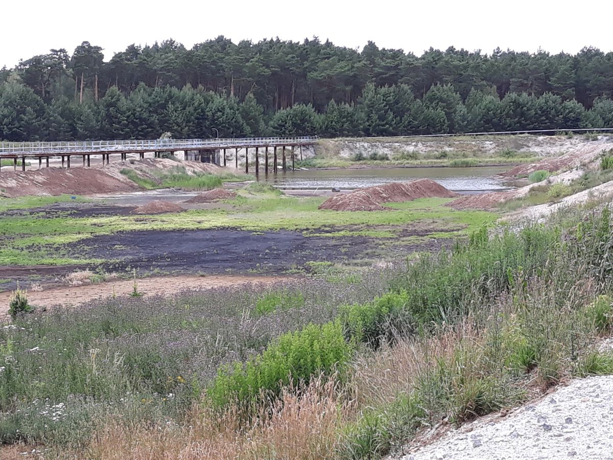 Składowisko odpadów "Zielona". Najbardziej skażone miejsce po Zachemie. Przebywanie tutaj może dosłownie przyprawić o zawroty głowy 