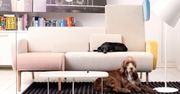 Meble do małego salonu: sofa