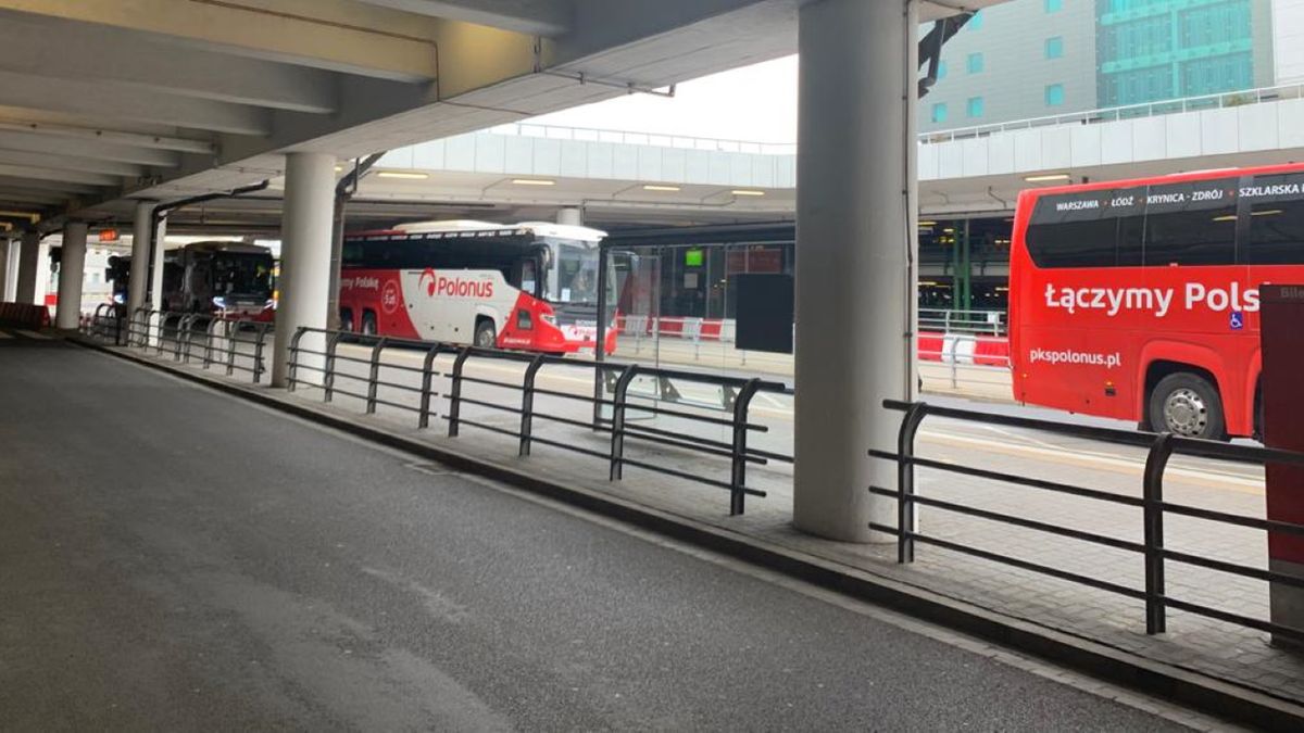 Polonus będzie woził Polaków wracających do kraju.
