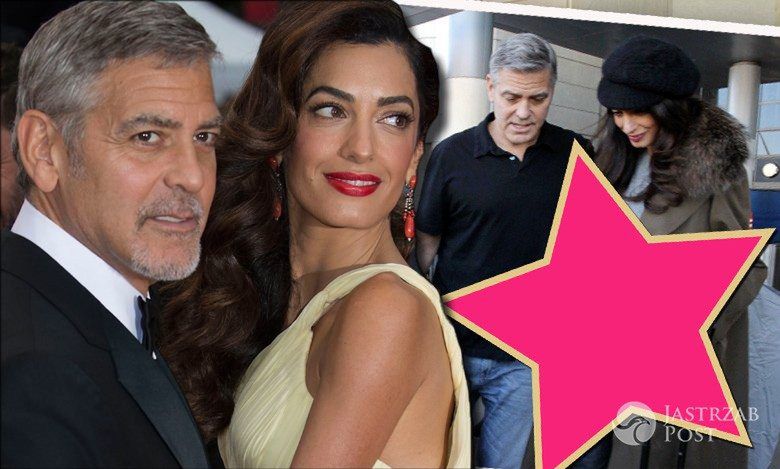 Ciężarna Amal i George Clooney przyłapani na lotnisku! Brzuszek żony gwiazdora jest coraz większy! [WIDEO]