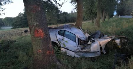 Wraca sprawa polowań na łosie. W podobnych wypadkach zginęły 32 osoby