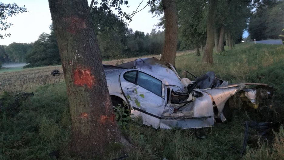 Wypadek po zderzeniu z łosiem, zginęła jedna osoba