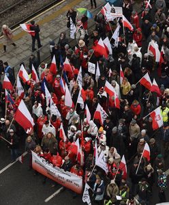 Kolejne problemy KOD: zniknęły protokoły ze zbiórek publicznych