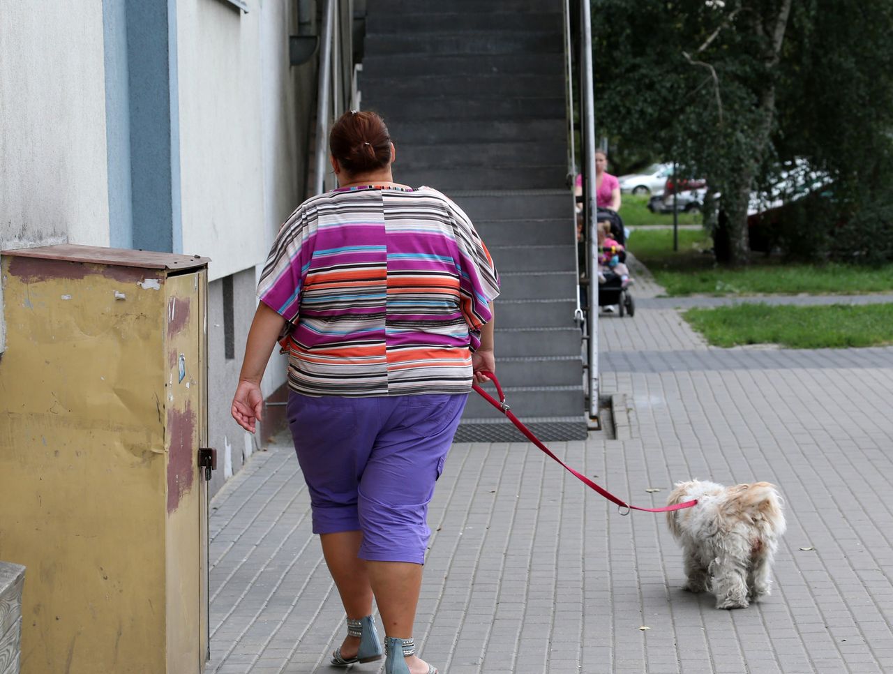 Operacje zmniejszania żołądka hitem wśród Polek. U Justyny skończyła się tragicznie