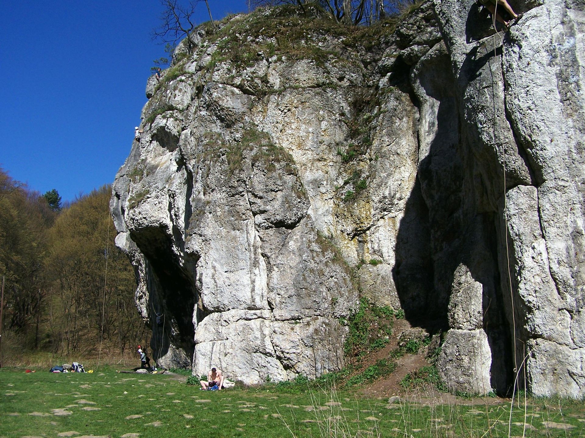 Obraz