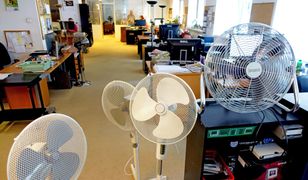 Ile prądu zużywa klimatyzacja, a ile wiatrak. Oto, który sposób jest tańszy