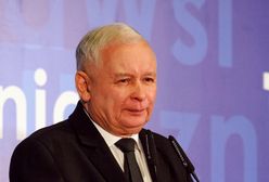 Kobiety są mniej prawicowe od mężczyzn. Oto nowy sondaż poparcia dla partii politycznych