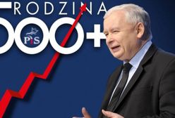 Zaskakujące badanie - PiS to bogacze. To oni płacą 500+