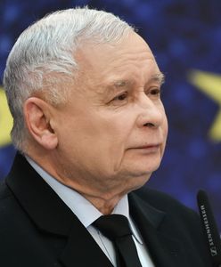 Wiejas: "Kupiłem piwo, włączyłem pornografię. Niech żyje Jarosław Kaczyński" (Opinia)
