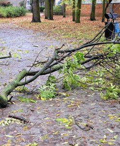 "Mówienie o orkanie to szukanie sensacji". Polscy łowcy burz dementują nieprawdziwe informacje