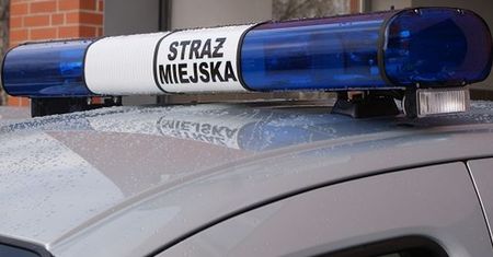 Straż miejska wezwała mieszkańca Poznania. Bo użył na Facebooku słowa "k...a"