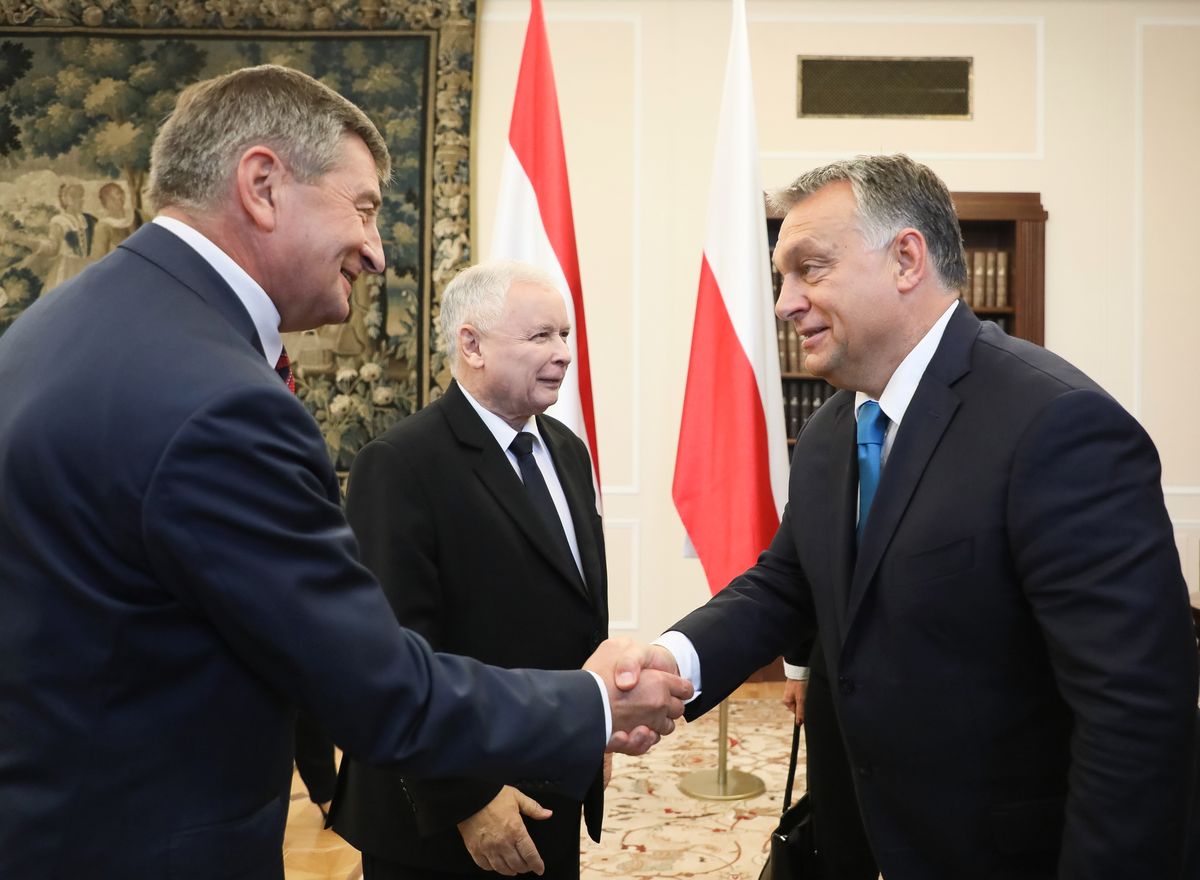 Pozwolenie Jarosława Kaczyńskiego niezbędne? Wymowne wideo z gabinetu marszałka Sejmu
