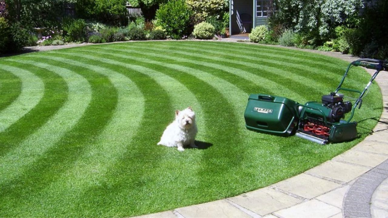 How to Make Stripes on the Lawn? All You Need Is an Ordinary Lawnmower and One Gadget