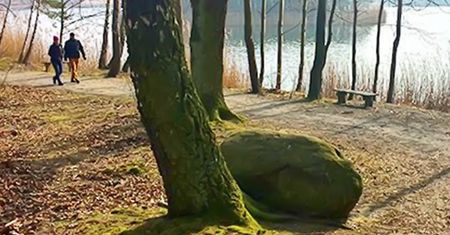W Polsce ukradną nawet pomnik przyrody. Znad Jeziora Turawskiego wynieśli głaz narzutowy