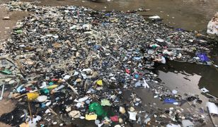 Plaże toną w brudach. Morze zwróciło Anglikom plastik