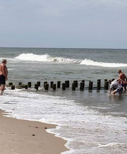 Akcja ratunkowa na plaży pod Darłowem. Ludzie utworzyli "łańcuch życia"