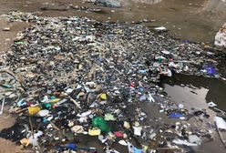 Plaże toną w brudach. Morze zwróciło Anglikom plastik