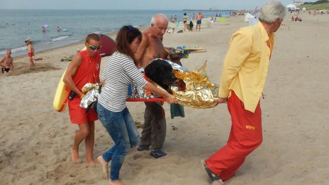 Niezwykła interwencja ratowników na plaży. Uratowali psa, który miał zawał