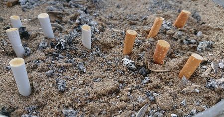 Niedopałki papierosów większym źródłem zanieczyszczeń niż plastikowe słomki. Filtry zabijają zwierzęta i trują dzieci