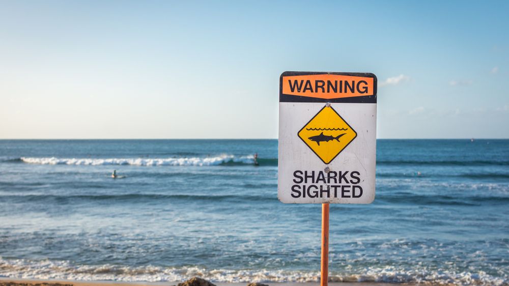 Rekiny  nie są jedynym niebezpieczeństwem czyhającym  na ludzi w głębokich wodach.