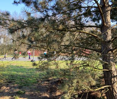 Wrocław. Koronawirus. Dzieci grały w kosza mimo pandemii