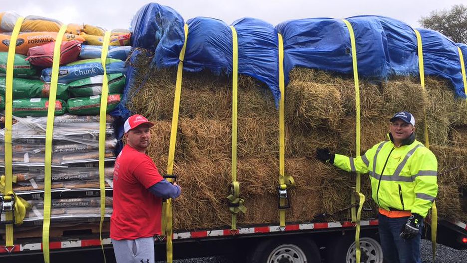 Ruszyli na pomoc głodującym zwierzakom
