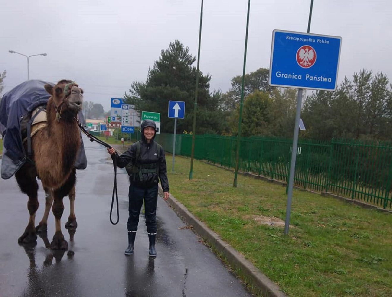 22-letnia Francuzka idzie z wielbłądem przez Polskę. Prosi o pomoc 