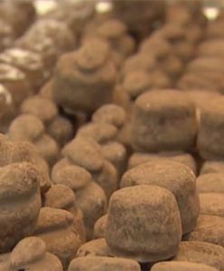 Jedz czekoladę! Na dobre ci to wyjdzie (WIDEO)