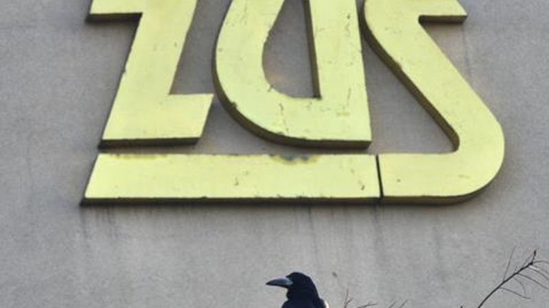 ZUS od teraz wypłaci świadczenie dla osób, które pracowały przed monitorami kineskopowymi CRT.