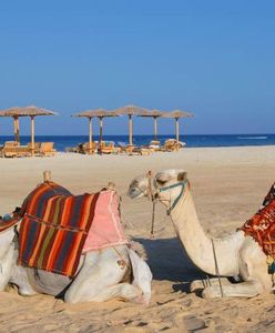 Czy to koniec wakacji w Egipcie?