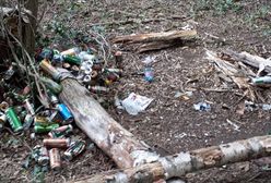 Holandia: Polak posprzątał bałagan po swoich rodakach. "Taki mały uczynek"