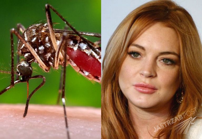 Lindsay Lohan ofiarą wirusa czikungunia