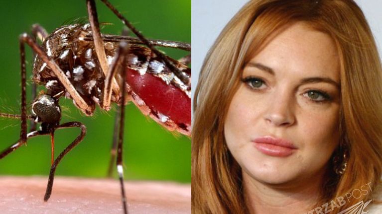 Lindsay Lohan
fotografia: cnn.com