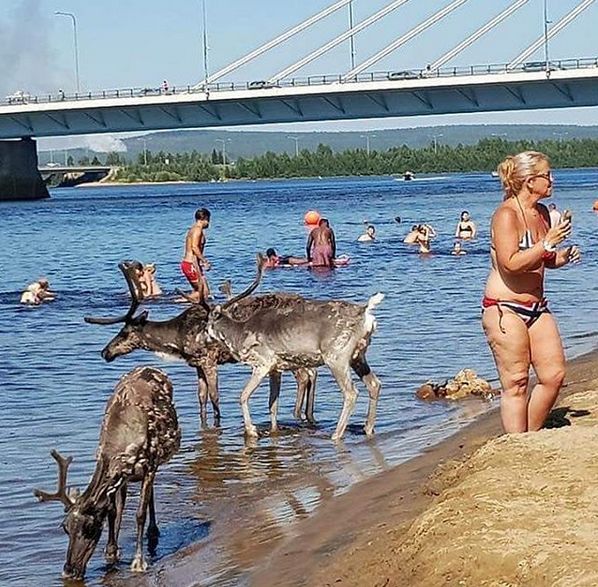 Upały skłaniają mieszkańców Finlandii do szukania orzeźwienia w wodzie