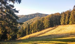 Koleje Śląskie: w cenie biletu wycieczki z przewodnikiem. W planach czeskie Beskidy