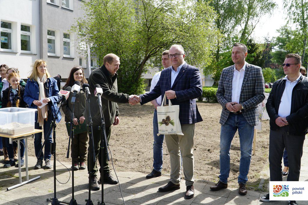 Powiat Pilski razem z leśnikami zakłada łąki kwietne w Pile