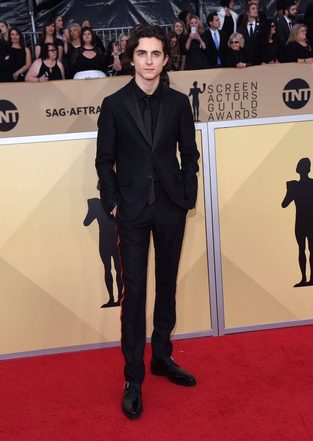 Timothee Chalamet - SAG Awards 2018,
